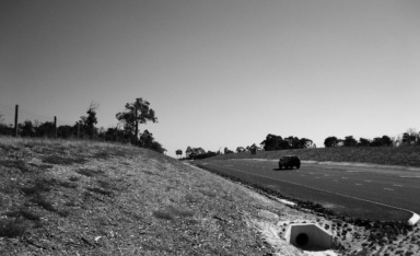Yelverton Protea Farm Landscape Inspiration Yelverton Protea Farm