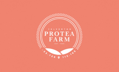 Yelverton Protea Farm Branding Independent branding and design: Yelverton Protea Farm Branding Yelverton Protea Farm Brand Branding Yelverton Protea Farm