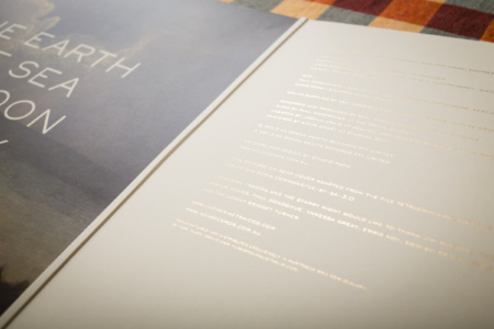 Catherine Traicos Owl Album gold foil details Catherine Traicos Owl Album gold foil details